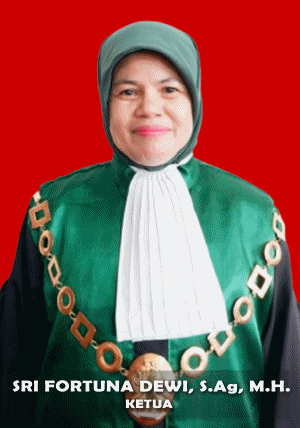Profil Pegawai & Hakim   Juli 2025